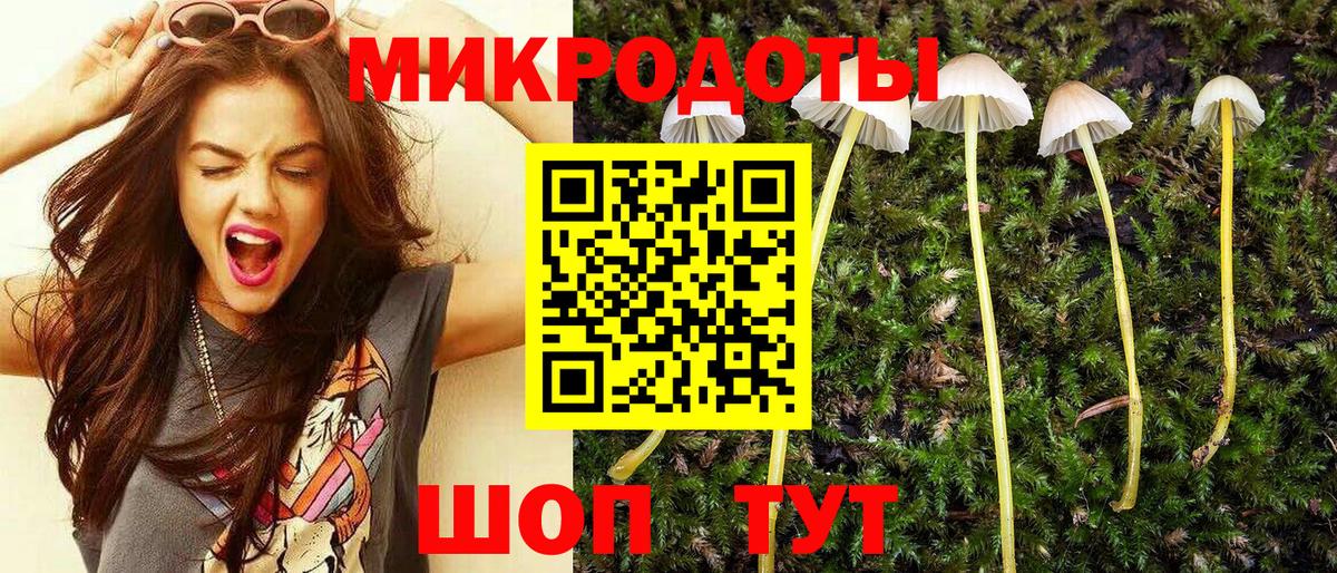 Подольск  Псилоцибиновые грибы Cubensis  Псилоцибиновые грибы Magic Shrooms  Вход с VPN 