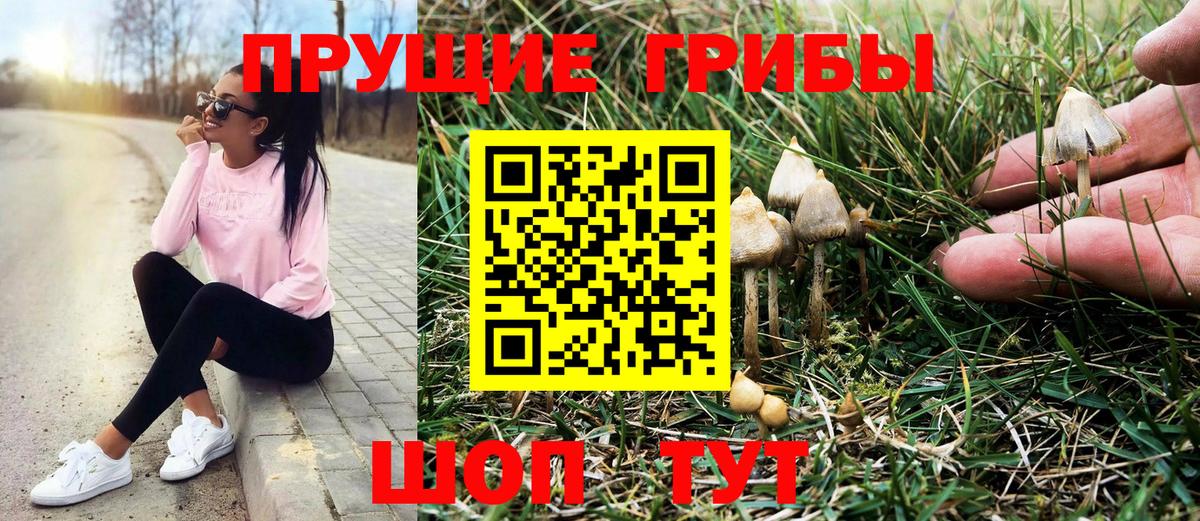 Галлюциногенные грибы ЛСД Подольск